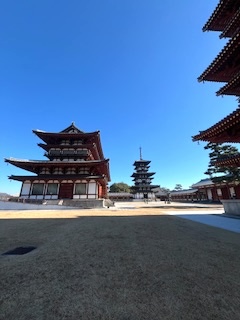 奈良薬師寺に行ってきました。